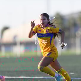 Santos Laguna vs Tigres UANL S19 @tar.mx