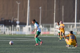 Yolanda Lira @tar.mx