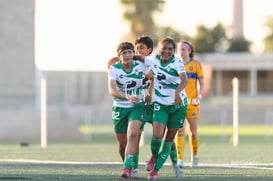 gol @tar.mx
