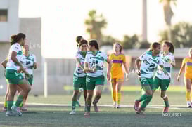 gol @tar.mx