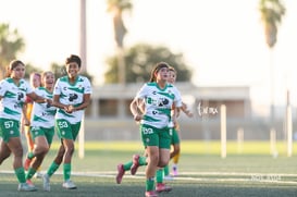 gol @tar.mx