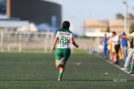 gol @tar.mx
