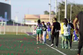gol @tar.mx