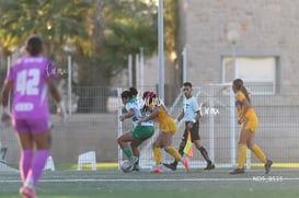 Santos Laguna vs Tigres UANL S19 @tar.mx