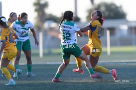 Santos Laguna vs Tigres UANL S19 @tar.mx