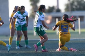 Santos Laguna vs Tigres UANL S19 @tar.mx