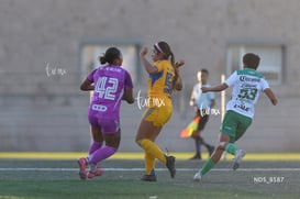 Santos Laguna vs Tigres UANL S19 @tar.mx
