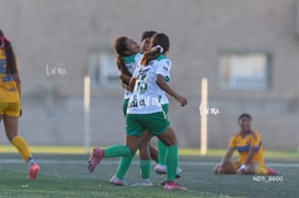 gol @tar.mx