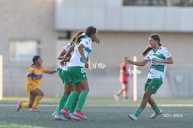 gol @tar.mx