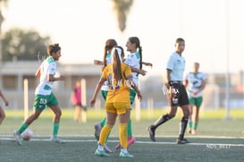 gol @tar.mx