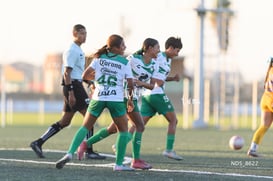 gol Estefanía Cisneros @tar.mx