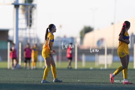 Santos Laguna vs Tigres UANL S19 @tar.mx