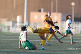Santos Laguna vs Tigres UANL S19 @tar.mx