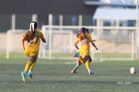 Santos Laguna vs Tigres UANL S19 @tar.mx