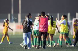 Santos Laguna vs Tigres UANL S19 @tar.mx