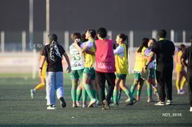 Santos Laguna vs Tigres UANL S19 @tar.mx