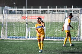 Santos Laguna vs Tigres UANL S19 @tar.mx