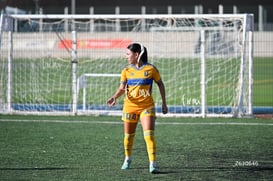 Santos Laguna vs Tigres UANL S19 @tar.mx
