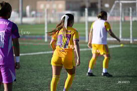 Santos Laguna vs Tigres UANL S19 @tar.mx
