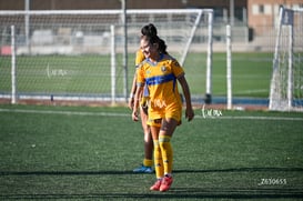 Santos Laguna vs Tigres UANL S19 @tar.mx