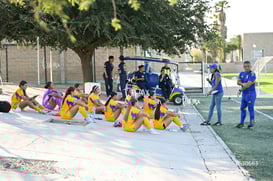 Tigres femenil @tar.mx