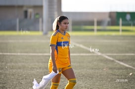 Santos Laguna vs Tigres UANL S19 @tar.mx