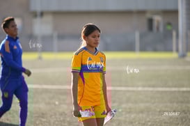 Santos Laguna vs Tigres UANL S19 @tar.mx