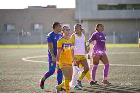 Santos Laguna vs Tigres UANL S19 @tar.mx