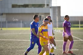 Santos Laguna vs Tigres UANL S19 @tar.mx