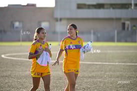 Santos Laguna vs Tigres UANL S19 @tar.mx