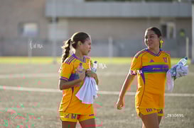 Santos Laguna vs Tigres UANL S19 @tar.mx