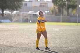 Santos Laguna vs Tigres UANL S19 @tar.mx