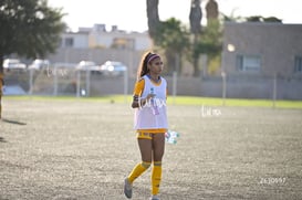 Santos Laguna vs Tigres UANL S19 @tar.mx