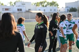 Santos Laguna vs Tigres UANL S19 @tar.mx