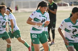 Santos Laguna vs Tigres UANL S19 @tar.mx