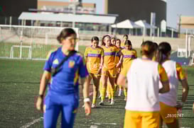 Santos Laguna vs Tigres UANL S19 @tar.mx