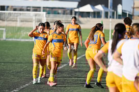 Santos Laguna vs Tigres UANL S19 @tar.mx