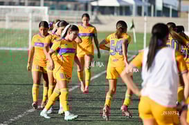 Santos Laguna vs Tigres UANL S19 @tar.mx