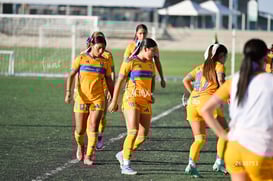 Santos Laguna vs Tigres UANL S19 @tar.mx