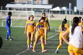 Santos Laguna vs Tigres UANL S19 @tar.mx