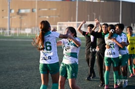 Santos Laguna vs Tigres UANL S19 @tar.mx