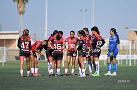 equipo @tar.mx