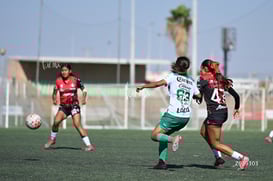 Yolanda Lira @tar.mx