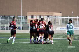 gol @tar.mx