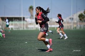 Paola Martinez @tar.mx