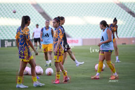 Santos vs Tigres femenil @tar.mx
