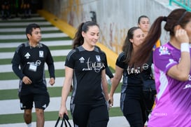 Santos vs Tigres femenil @tar.mx