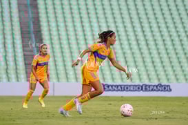 Santos vs Tigres femenil @tar.mx