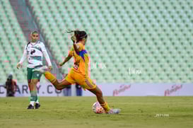 Santos vs Tigres femenil @tar.mx