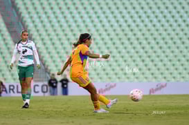 Santos vs Tigres femenil @tar.mx